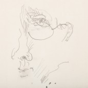 morepic-4