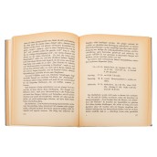morepic-4