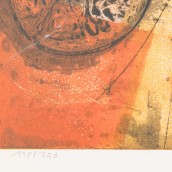 morepic-4