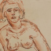 morepic-4