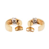morepic-4