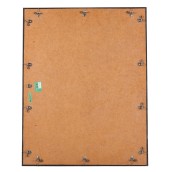 morepic-4