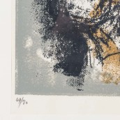 morepic-4