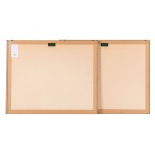 morepic-4