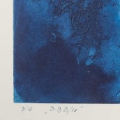 morepic-4