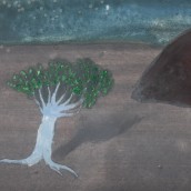 morepic-4