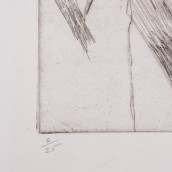 morepic-4
