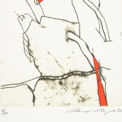morepic-4