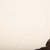 morepic-4