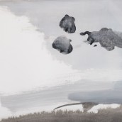 morepic-4