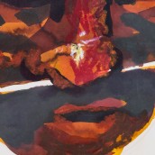 morepic-4
