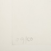 morepic-4
