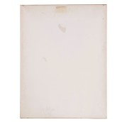 morepic-4