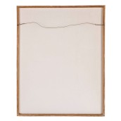 morepic-4
