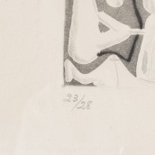 morepic-4