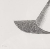 morepic-4