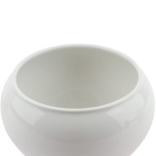 morepic-4