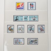 morepic-5