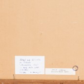 morepic-5
