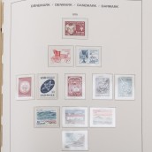 morepic-5