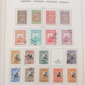 morepic-5