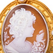 morepic-5