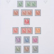 morepic-5