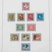 morepic-5