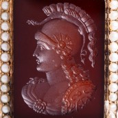 morepic-5