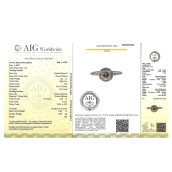 morepic-5