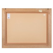 morepic-5