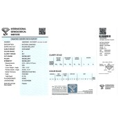 morepic-5