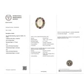 morepic-5