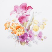 morepic-5
