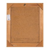morepic-5