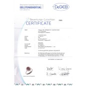 morepic-5
