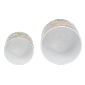 morepic-5