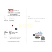 morepic-5