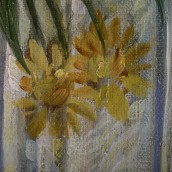 morepic-5