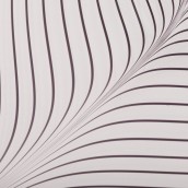 morepic-5