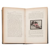 morepic-5