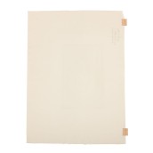 morepic-5