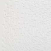 morepic-5