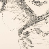 morepic-5