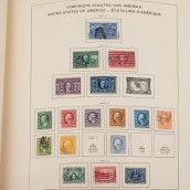 morepic-5