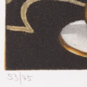 morepic-5