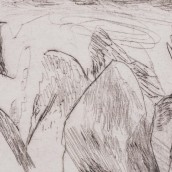 morepic-5