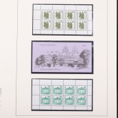 morepic-5