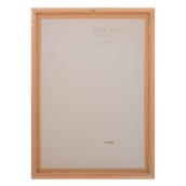morepic-5