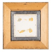 morepic-5